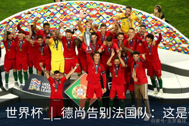 世界杯 | 德尚告别法国队：这是一段美好的旅程