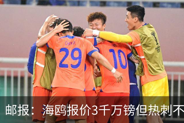 邮报：海鸥报价3千万镑但热刺不愿卖武什科维奇 巴萨国米拜仁关注