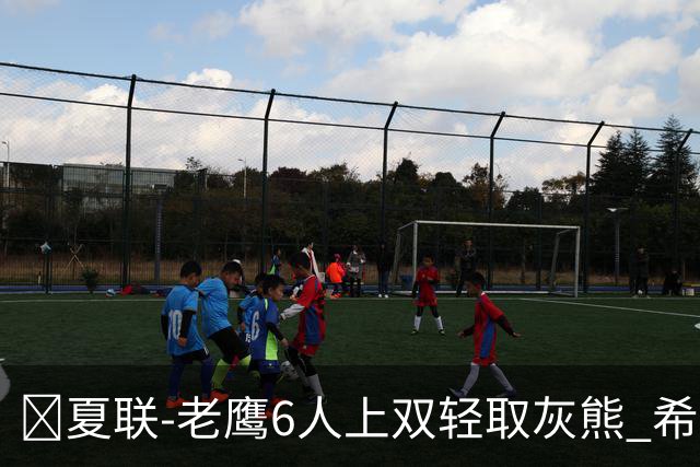 🏀夏联-老鹰6人上双轻取灰熊 希格斯22+5 探花布泽尔缺战