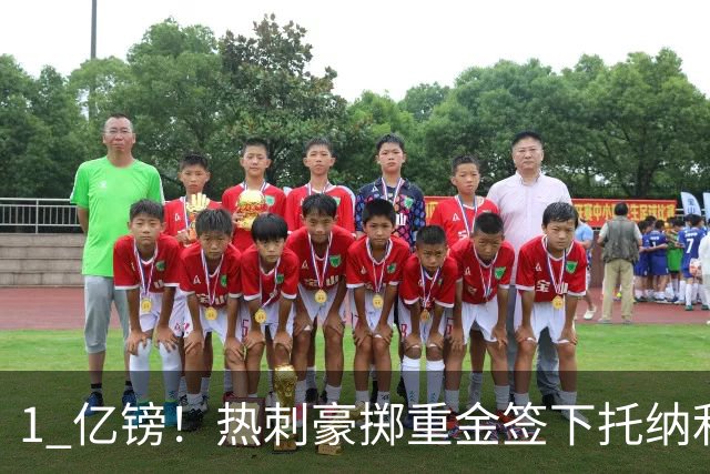 1 亿镑！热刺豪掷重金签下托纳利，双中场豪购背后暗藏财政博弈
