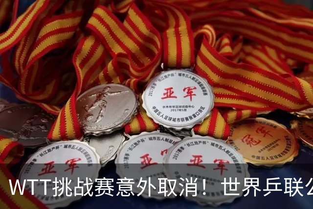 WTT挑战赛意外取消！世界乒联公开道歉，索林回应感到无奈
